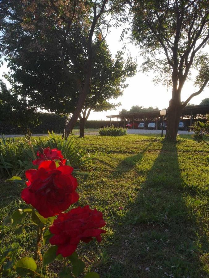 Agriturismo Podere Santa Virginia Albinia Exterior photo